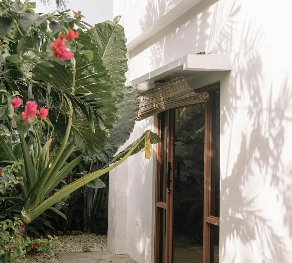 Dauis Private Home In Panglao Near White Beaches With 600 Mbps Wifi & Solar הפיליפינים