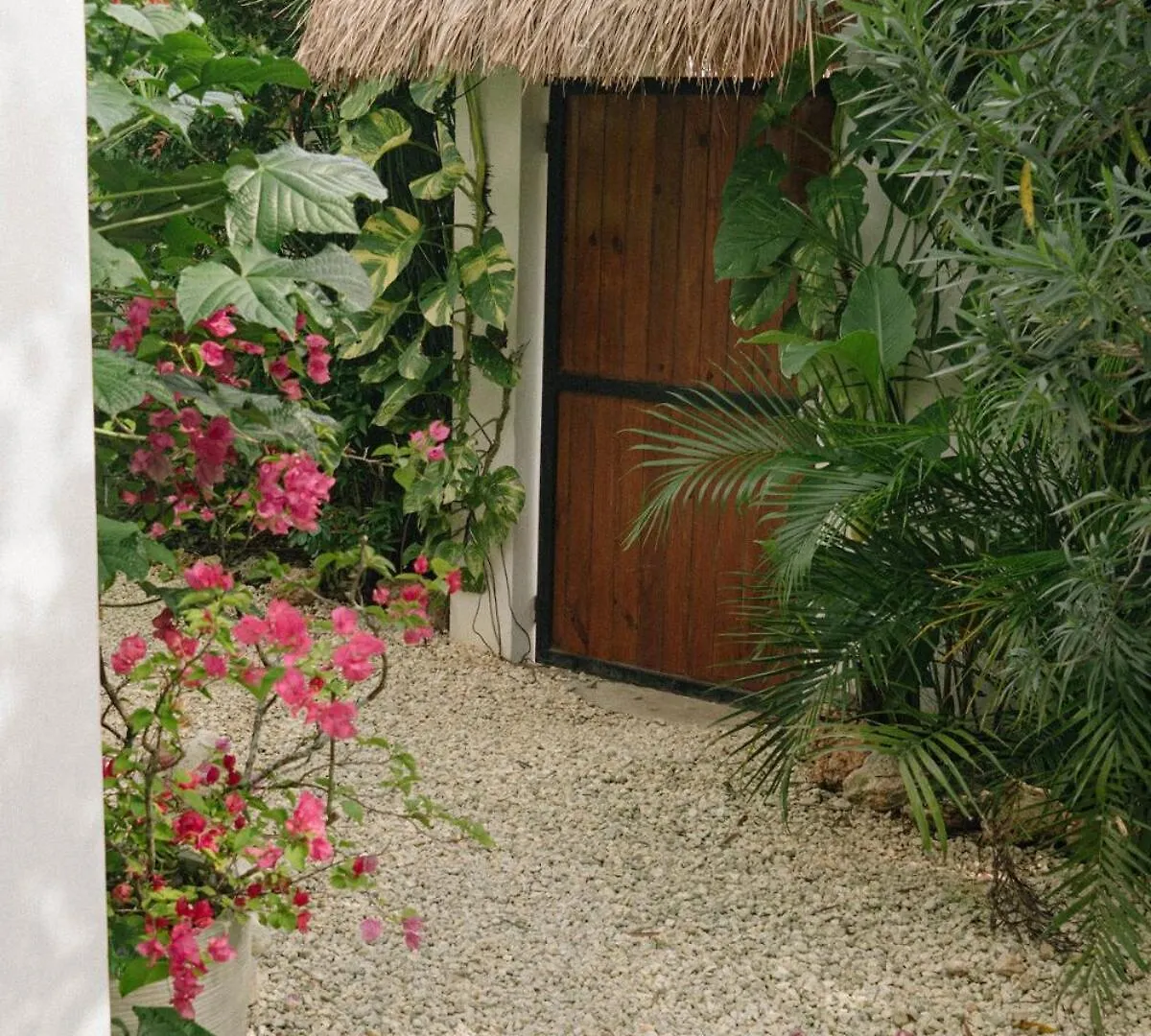 Dauis Private Home In Panglao Near White Beaches With 600 Mbps Wifi & Solar