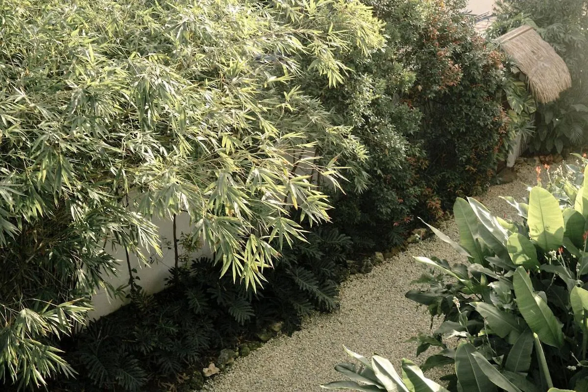 בית נופש Dauis Private Home In Panglao Near White Beaches With 600 Mbps Wifi & Solar הפיליפינים