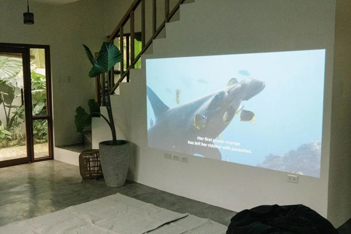Dauis Private Home In Panglao Near White Beaches With 600 Mbps Wifi & Solar בית נופש